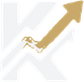 Kage Co.